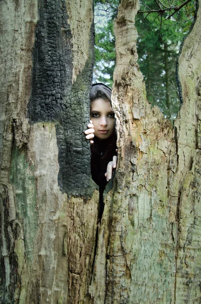 Jovem Bruxa Bonita Manto Esconde Atrás Tronco Uma Árvore Queimada — Fotografia de Stock