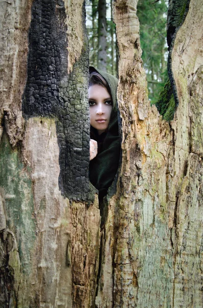 Jovem Bruxa Bonita Manto Esconde Atrás Tronco Uma Árvore Queimada — Fotografia de Stock