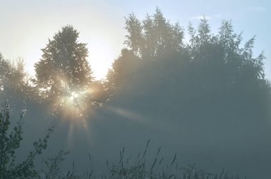 Dawn ve yaz, Sisli sabah güneş ışınları