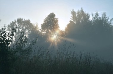 Dawn ve yaz, Sisli sabah güneş ışınları