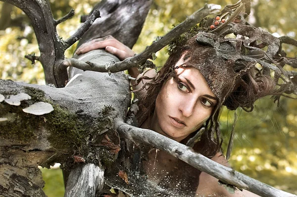 Femme Dans Costume Feutre Maquillage Remèdes Naturels Débris Forestiers Dryad — Photo