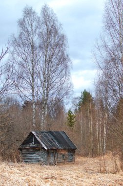 Sonbahar ormandaki küçük kulübe