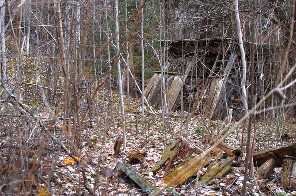 Ruines Une Ancienne Maison Abandonnée Bois Dans Champ Automne — Photo