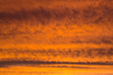 Altın bulutlar gökyüzünde ayar güneş tarafından aydınlatılmış