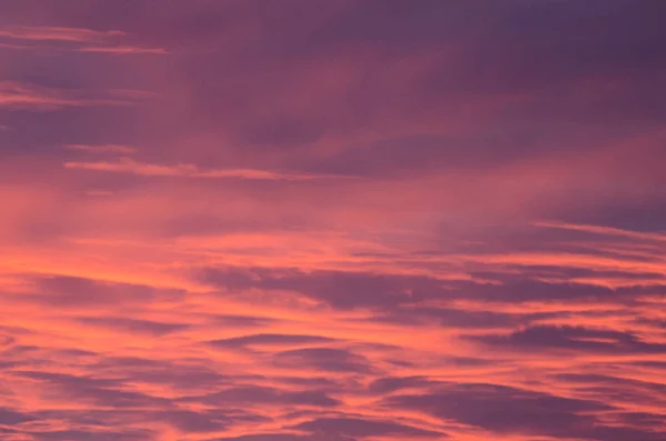 Pink Clouds Sky Illuminated Sunrise — Stock Photo, Image