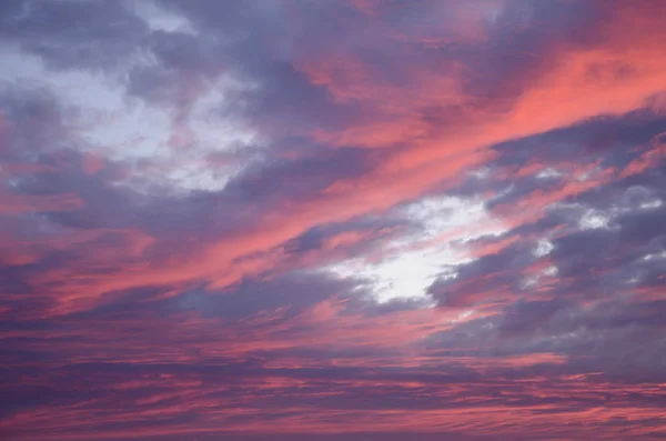 Pink Clouds Sky Illuminated Sunrise — Stock Photo, Image