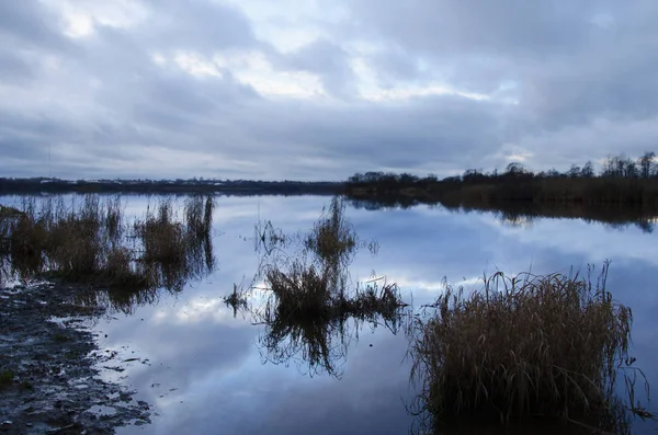 Season Paisagem Pântano Frio Crepúsculo Outono — Fotografia de Stock