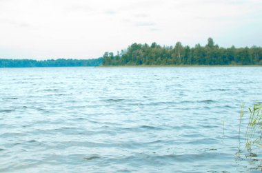 Orman Gölü ve su yüzeyi, ufukta uzak shore