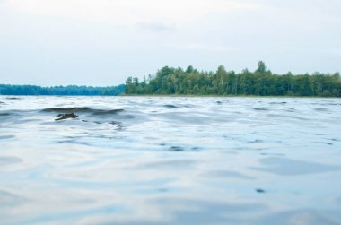 Orman Gölü ve su yüzeyi, ufukta uzak shore