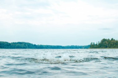 Orman Gölü ve su yüzeyi, ufukta uzak shore