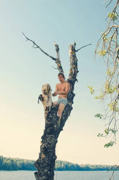 Молодой Человек Сидит Вершине Сухого Дерева — стоковое фото