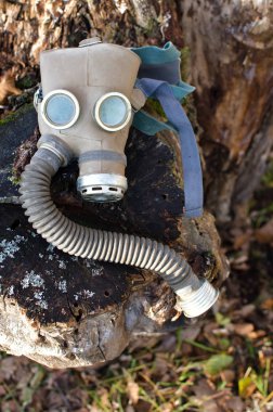 çürüyen bir ağaç kütüğü üzerinde eski gaz maskesi yatıyor
