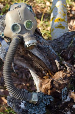 çürüyen bir ağaç kütüğü üzerinde eski gaz maskesi yatıyor