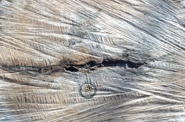 yakın çekim yaşlı ağaç arka plan görüntü kesme