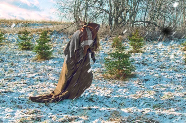 Brokeback Wicked Witch Wanders Winter Forest Young Firs — Stock Photo, Image