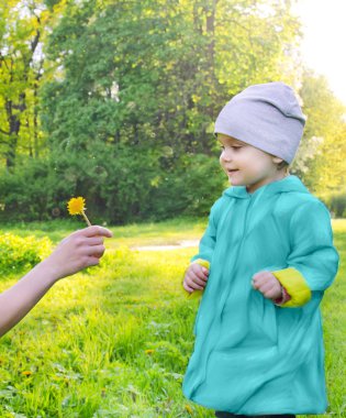 küçük kızın annesinin el bir karahindiba çiçek verir