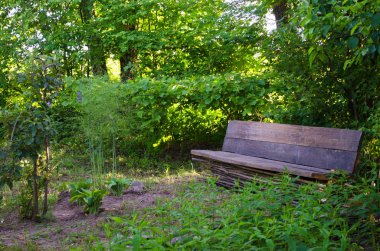 Eski bahçedeki eski ahşap Bank