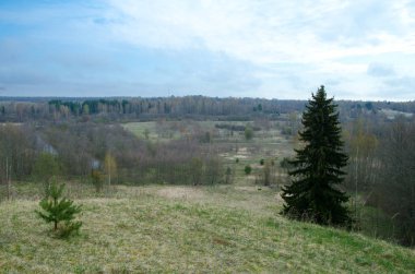 üstünde belgili tanımlık tepe büyüyen büyük küçük ve Ladin Çam