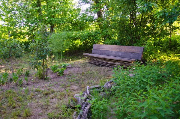 Vecchia Panca Legno Nel Vecchio Giardino — Foto Stock