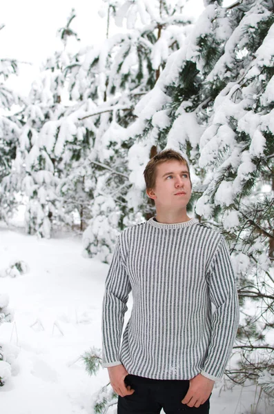 Молодой Человек Свитере Гуляет Среди Заснеженных Сосен Зимнем Лесу — стоковое фото