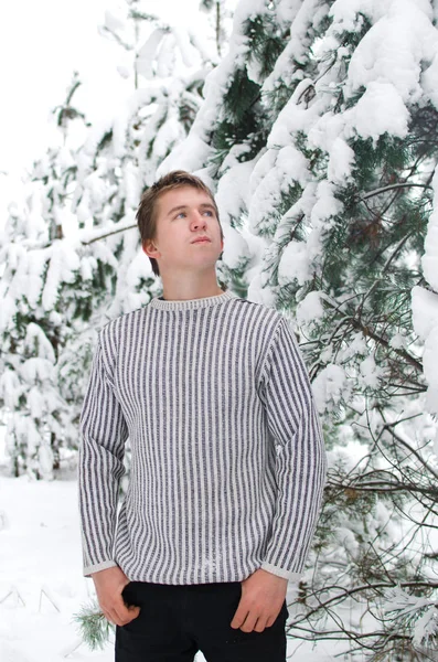 young man in a sweater walks among the snow-covered pines in the winter forest