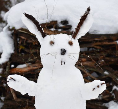 bir tavşan şeklinde kardan adam. Yeni yıl tavşan kar