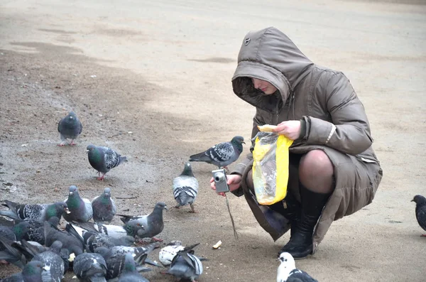 Junge Frau Park Füttert Tauben Und Filmt Sie Mit Einer — Stockfoto