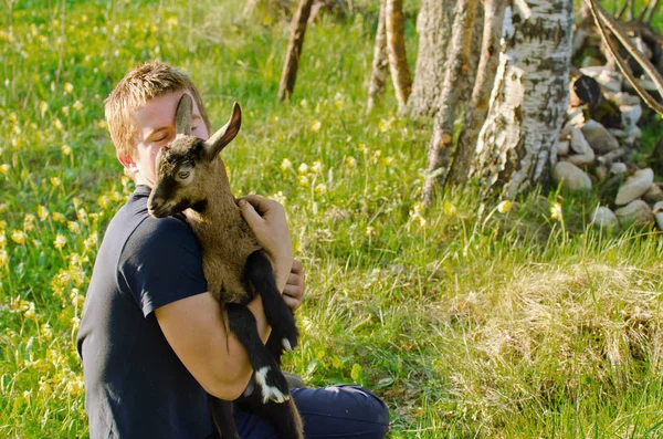 Guy Hugging Goat Lawn Sunny Summer Day — Stockfoto