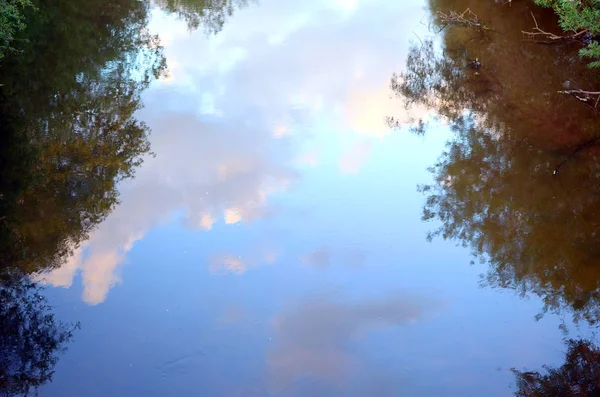 Espolón Del Cielo Nubes Colores Flujo Del Río Bosque Día — Foto de Stock