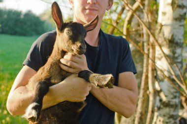 Küçük bir keçi, genç bir çiftçinin ellerinde.