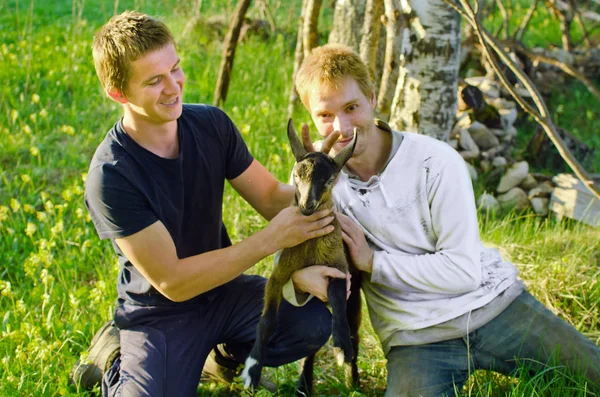 两个人在农场里和一只小山羊玩耍 — 图库照片