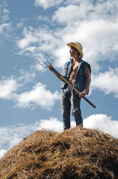 Young Farmer Pitchfork Stands Haystack Dry Grass Sky — Stock Photo, Image