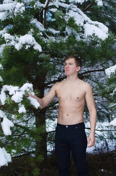 Молодой Человек Рубашки Зимнем Лесу Посыпает Снегом — стоковое фото