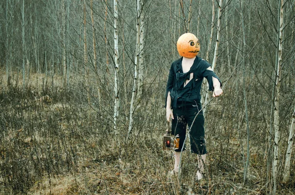 Halloween Vogelverschrikker Met Een Pompoen Zijn Hoofd Een Lantaarn Zijn — Stockfoto