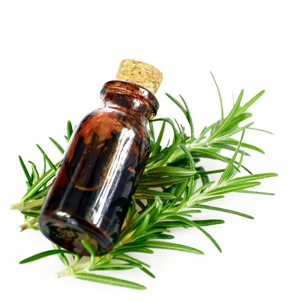 Organic Rosemary Leaves Essential Oil White Background — Stock Photo, Image