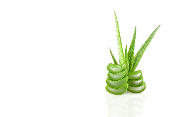 Scheibe Aloe Vera Aloe Barbadensis Mühle Sternkaktus Aloe Aloe Aloe — Stockfoto