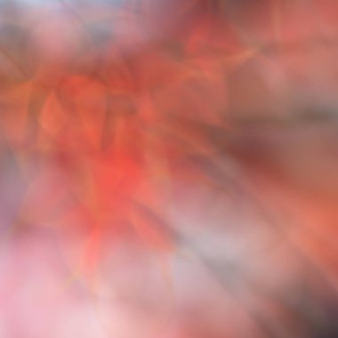 Sonbahar yaprakları arka plan bulanıklık. Doğa arka plan bulanıklık.