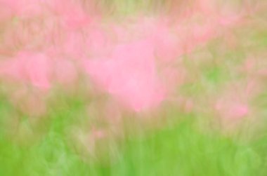 Pembe çiçek alan arka plan bulanık. Bulanık doğa arka plan.