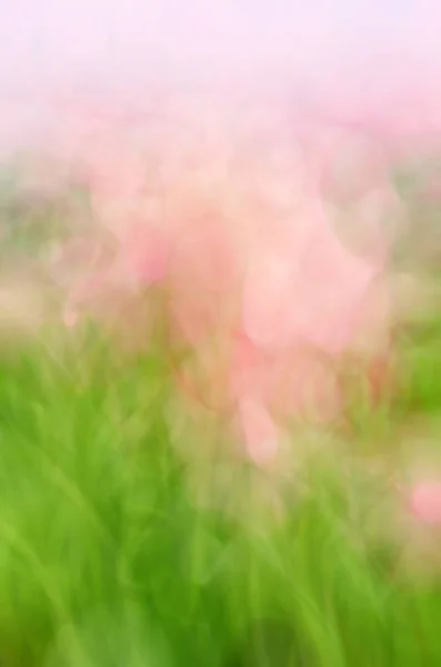 Blurred Floral Field Background Blurred Nature Background — Stock Photo, Image