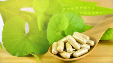 Gotu Kola taze yaprakları ve kuru toz sert jelatin capsuls.