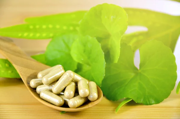 Gotu Kola Färska Blad Och Torkade Pulver Hård Gelatin Capsuls — Stockfoto