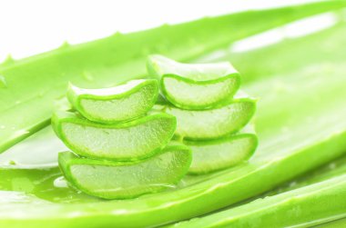 Aloe Vera yaprakları gösterir şeffaf Aloe Vera jel içine kesti. Aloe Vera Cilt Bakımı ve saç bakımı için çok faydalı bitkisel ilaç olduğunu.