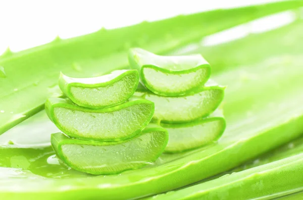 Tagliare Foglie Aloe Vera Mostra Trasparente Gel Aloe Vera All — Foto Stock