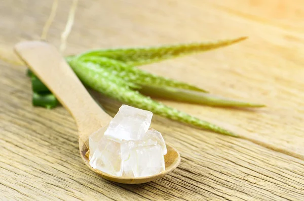 Cube Aloe Vera Gel Dřevěnou Lžíci Aloe Vera Aloe Barbadensis — Stock fotografie