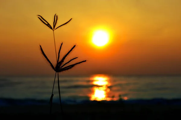 Ανατολή Του Ηλίου Στην Παραλία Ανατολή Του Ηλίου Νωρίς Πρωί — Φωτογραφία Αρχείου