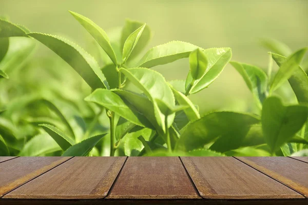Mesa de madera vacía con té verde orgánico en el campo de plantación — Foto de Stock