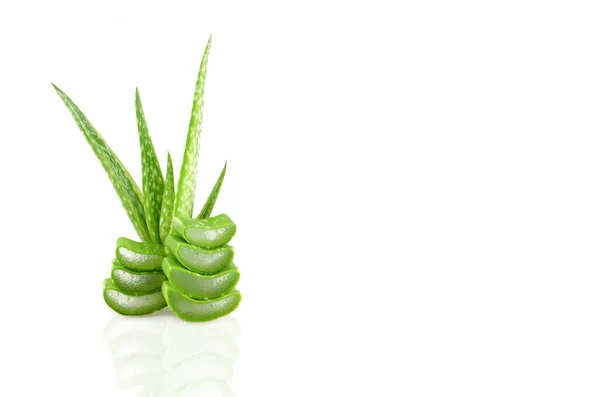 Slice Aloe Vera on white background. — Stock Photo, Image