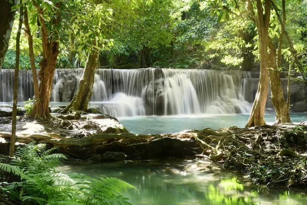 Hermoso paisaje de la cascada y hojas verdes para refrescar —  Fotos de Stock