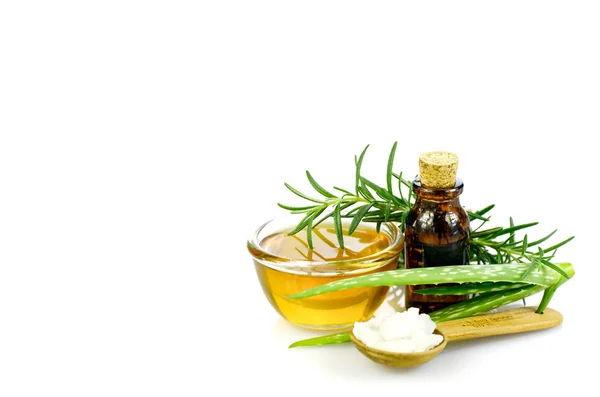 Aloe Vera, madu, rosemary, garam laut dan homeopath minyak esensial — Stok Foto