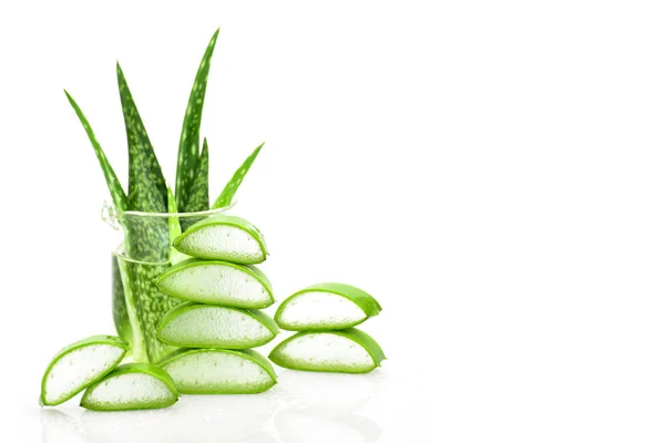 Rebanada Aloe Vera medicina herbal útil para el cuidado de la piel y el cabello ca — Foto de Stock